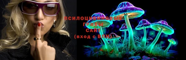 мяу мяу мука Лабытнанги